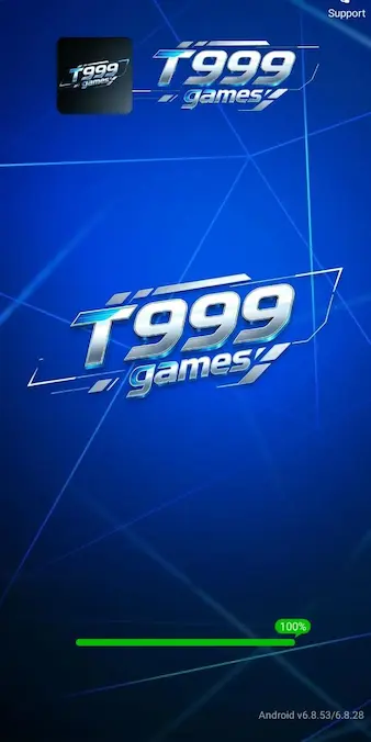 T999 Game