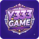 Y333 Game